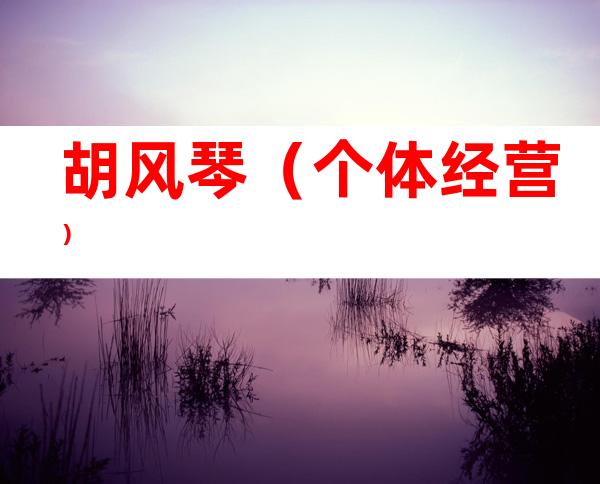 胡风琴（个体经营）